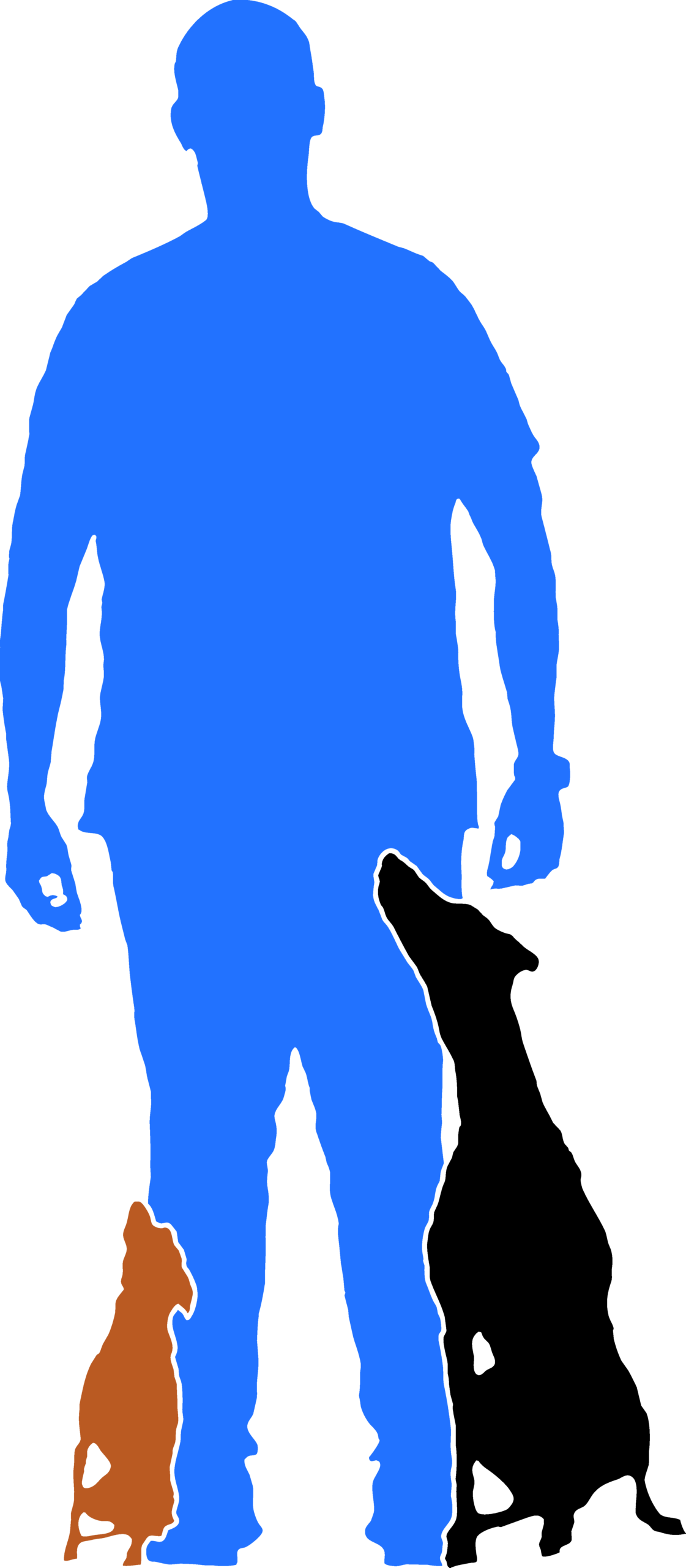 Dog nose adiestramiento